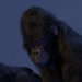 galiwango_film_preproduction_hair_02