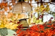 fall_series_00