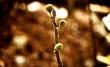 fall_series_02