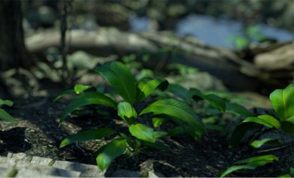 Jungle Scene ~ Rendered with Octane for 3DS Max