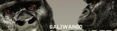 Galiwango Film to be Screened in Sweden, Mar 23-28th