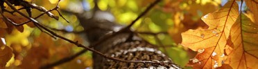 Photography, Fall is Upon Us ~ North Carolina